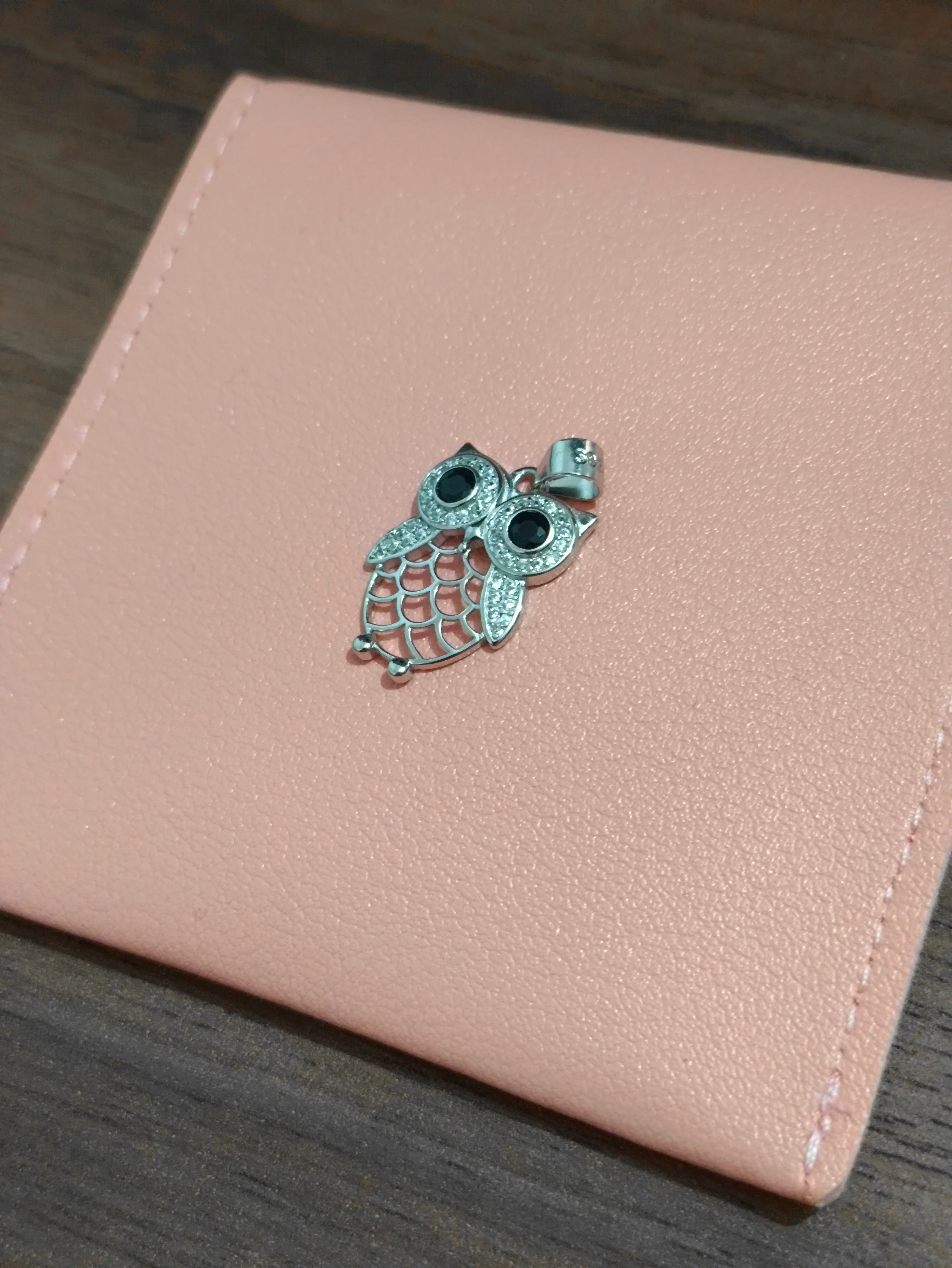 Dije Sabiduría Brillante – Búho en Plata 925