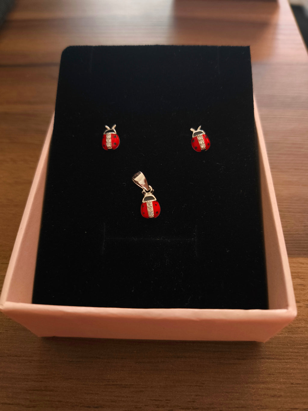 Set de Catarinas –  Plata 925