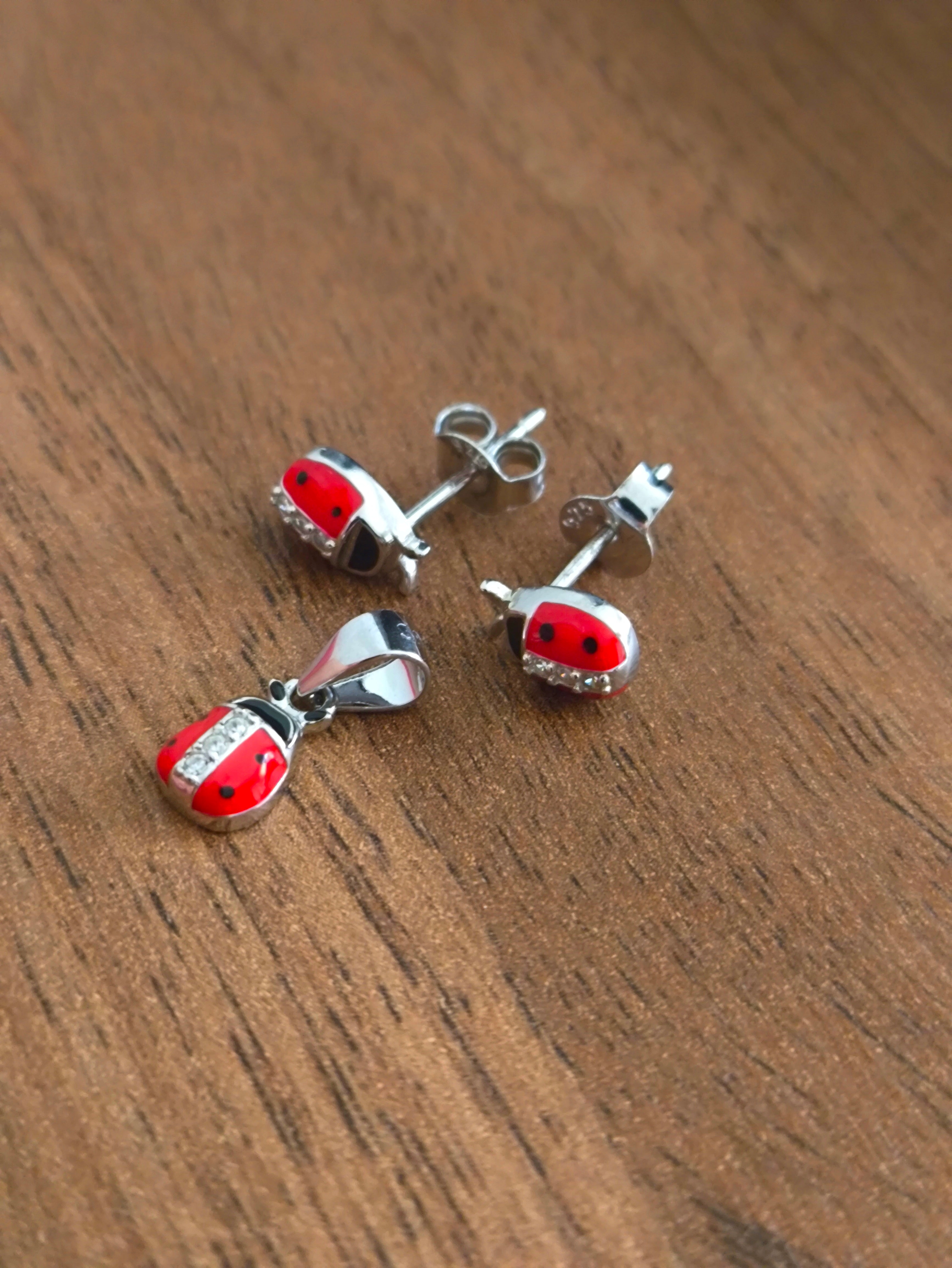 Set de Catarinas –  Plata 925