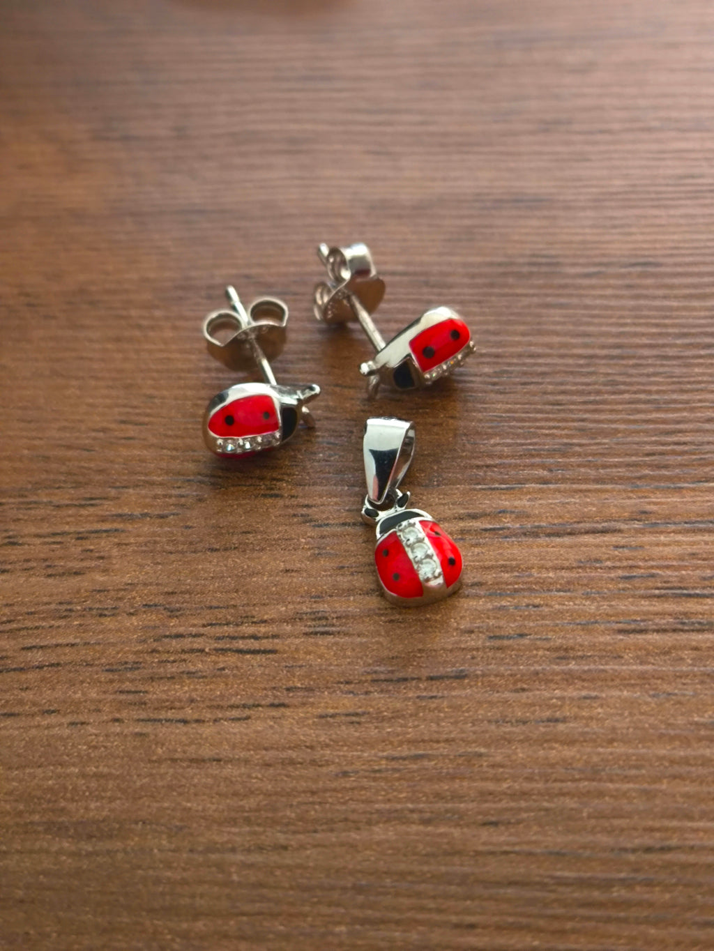 Set de Catarinas –  Plata 925